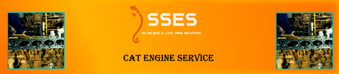 Cat Engine Service